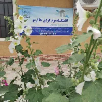 اقامتگاه-بوم-گردی