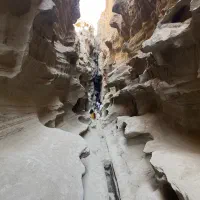 تور گشت جزیره|تور و چارتر|قشم, |دیوار