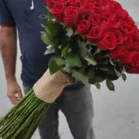 گل رز هلندی  باکس گل  سبد گل دسته گل|گل و گیاه طبیعی|تهران, والفجر (افسریه)|دیوار