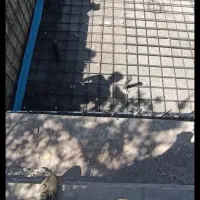 استخر|خدمات پیشه و مهارت|تبریز, |دیوار