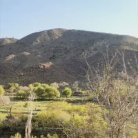 فروش-زمین-در-دهبکری
