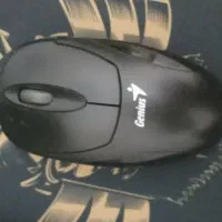 دو عدد ماوس تقریبا نو