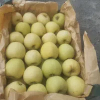 10تن. سیب فروشی