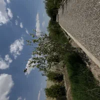 تنها باغ داخل شهر با آب و برق و گاز شهری اختصاصی|فروش خانه و ویلا|اصفهان, خاتون‌آباد|دیوار