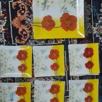 پیش دستی  شش تای. بایه دیس