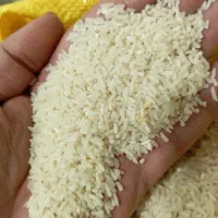 برنج سرلاشه و نیمدانه و سمبوسه تازه|خوردنی و آشامیدنی|مشهد, ابوذر|دیوار