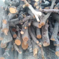 هیزم|خدمات باغبانی و درختکاری|تهران, بوستان چیتگر|دیوار