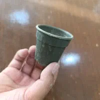 گلدان گلخانه ای مشکی