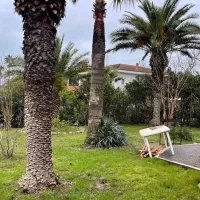 400-متر-زمین-با-بر-16-متر-خیابان-هیوا-صفاییه