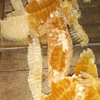 عسل طبیعی