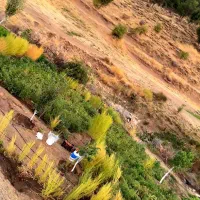 فروش باغ|فروش خانه و ویلا|بانه, |دیوار