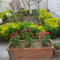 دربستی ۳ طبقه / فول بازسازی /