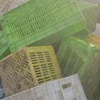 سبد میوه درحدنو