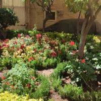 خدمات باغبانی باغچه کاری کاشت گل وگیاه  خاک گلدون