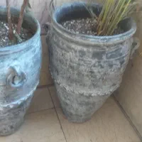 گلدان کوزه ای دهنه ۶۰   سانت دو عدد|گل و گیاه طبیعی|تهران, صادقیه|دیوار