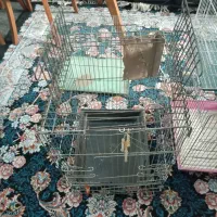 قفس پرنده|لوازم جانبی حیوانات|پاکدشت, حصار امیر|دیوار