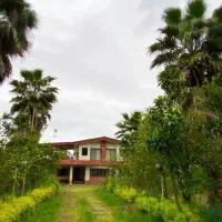 2800 متر زمین ۷ خوابه