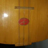 ساز دیوان ترکYLMAz|سازهای سنتی|سنندج, |دیوار