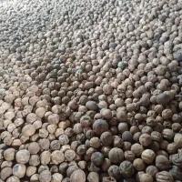 لیمو عمانی توصیه شده