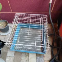 قفس پرنده|لوازم جانبی حیوانات|رباط‌کریم, رباط‌کریم|دیوار