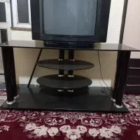 تلویزیون و زیرتلویزیون
