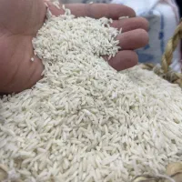 برنج طارم