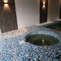 اجاره ویلای شبانه استخردار محدوده زیباکنار|اجارهٔ کوتاه‌مدت ویلا و باغ|لشت نشا, |دیوار