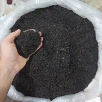 فروش چای ممتاز بهاره 1405