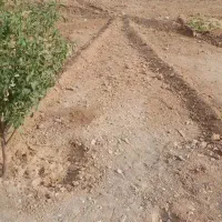 جذب کارگر