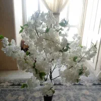 گل گلدان|گل مصنوعی|قم, باجک دو|دیوار