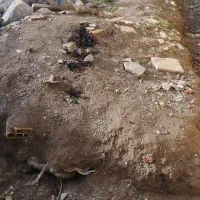 زمین مسکونی