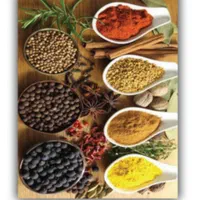 فرشینه/فرش مدرن آشپزخانه|فرش|مشهد, آزادشهر|دیوار