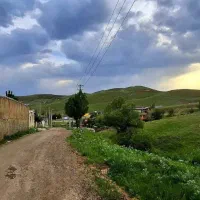 ۲۵۰ متر زمین  با آب چشمه ویو ابدی