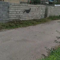 زمین مسکونی ۳۶۲متر امتیازات کامل رودسر سرپل شرقی|فروش زمین و ملک کلنگی|رودسر, |دیوار