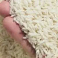 خریدار برنج پاکستانی هندی