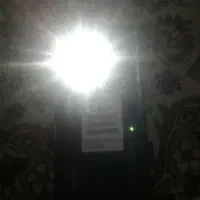 برد شیامی نوت۱۱s