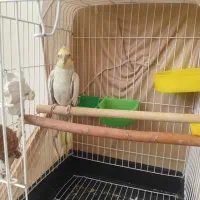 هاناخانوم ۱سال ونیم   سرحال