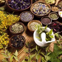 گیاهی تاخیری
