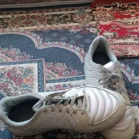 کفش ورزشی|تجهیزات ورزشی|هشترود, |دیوار