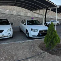 دنا معمولی تیپ2