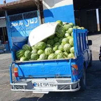دو تن هندوانه شیرین عسلی