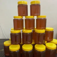 عسل استان سرسبز و زیبای لرستان|خوردنی و آشامیدنی|تهران, تهرانسر غربی|دیوار