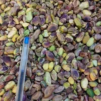 مغز پسته تناژ