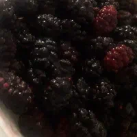 شاتوت اعلا کیلویی ۳۰۰