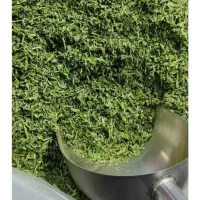 شنبلیله عمده ای موجوده