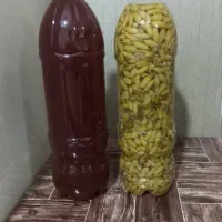محصولات ارگانیک کاشمر