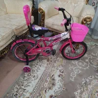 سایز 16 مارک بنیتو اسپرت اصلی