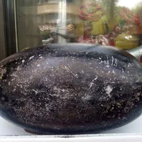 کشکول قاجاریه|کلکسیون اشیاء عتیقه|تهران, حسن‌آباد|دیوار