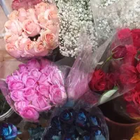 گل رز|گل و گیاه طبیعی|ارومیه, |دیوار