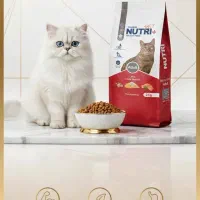 ویزیتور پاره وقت ( حیوانات خانگی  پتشاپ )